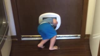 Toddler Escapes Through Cat Door