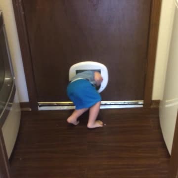 Toddler Escapes Through Cat Door