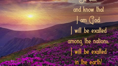 Morning Prayer to be Still #youtubeshorts #grace #jesus #mercy #faith #fyp #bless #love #trust #joy