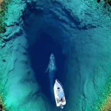 Boat in close contact with whale coming up from a blue hole