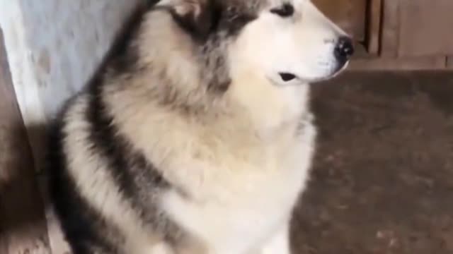 Just be naughty. Just be healthy