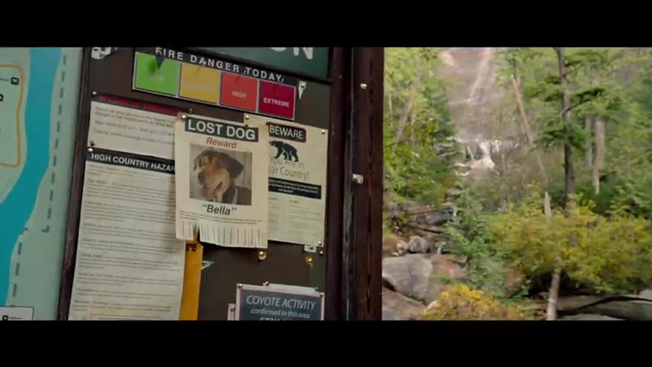 A Dog's way Home/official trailer