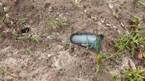 Metal Detecting Bottles