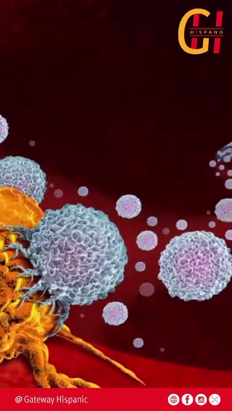 Nueva vacuna contra el cáncer