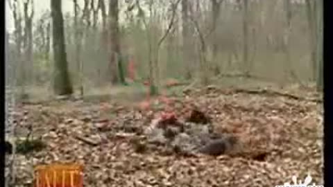 Broma en el Parque