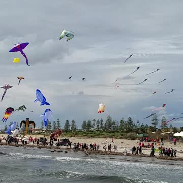 2019-04-21 Semaphore Kite Festival 02