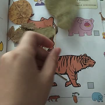 Herbarium in the English language textbook