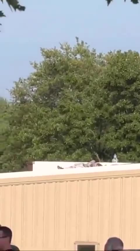 Video showing the Trump Rally shooter dead on the rooftop