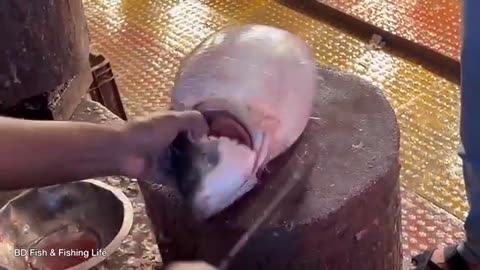 Amazing_Cutting_Skills___Giant_Rohu_Fish_Cutting_Skills_By_Expert_Fish_Cutter