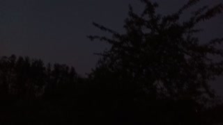 Summer dawn