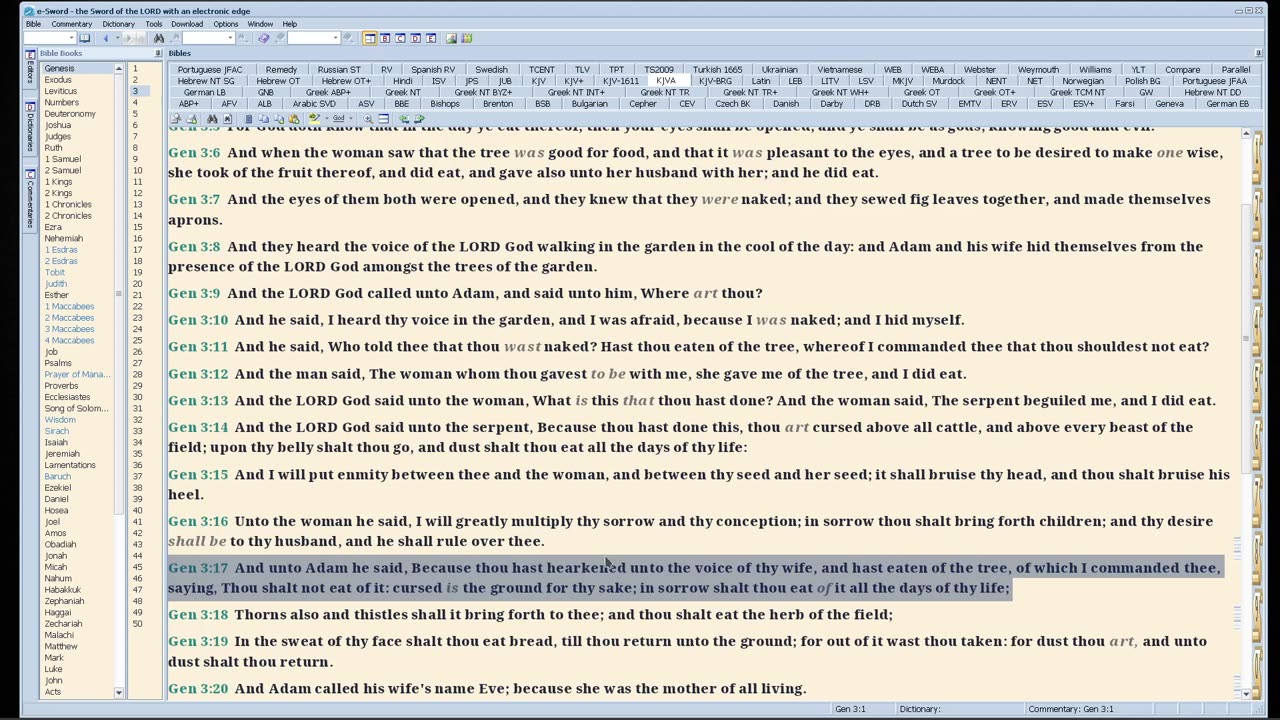 08-14-2024 VotD - Genesis 16-12 - Take time to pray before answering - A dream at the end of video