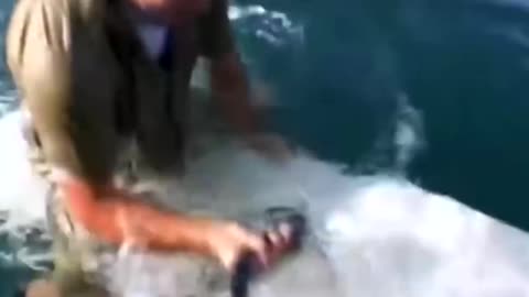 Steve Irwin catches a venomous snake while surfing in Bali