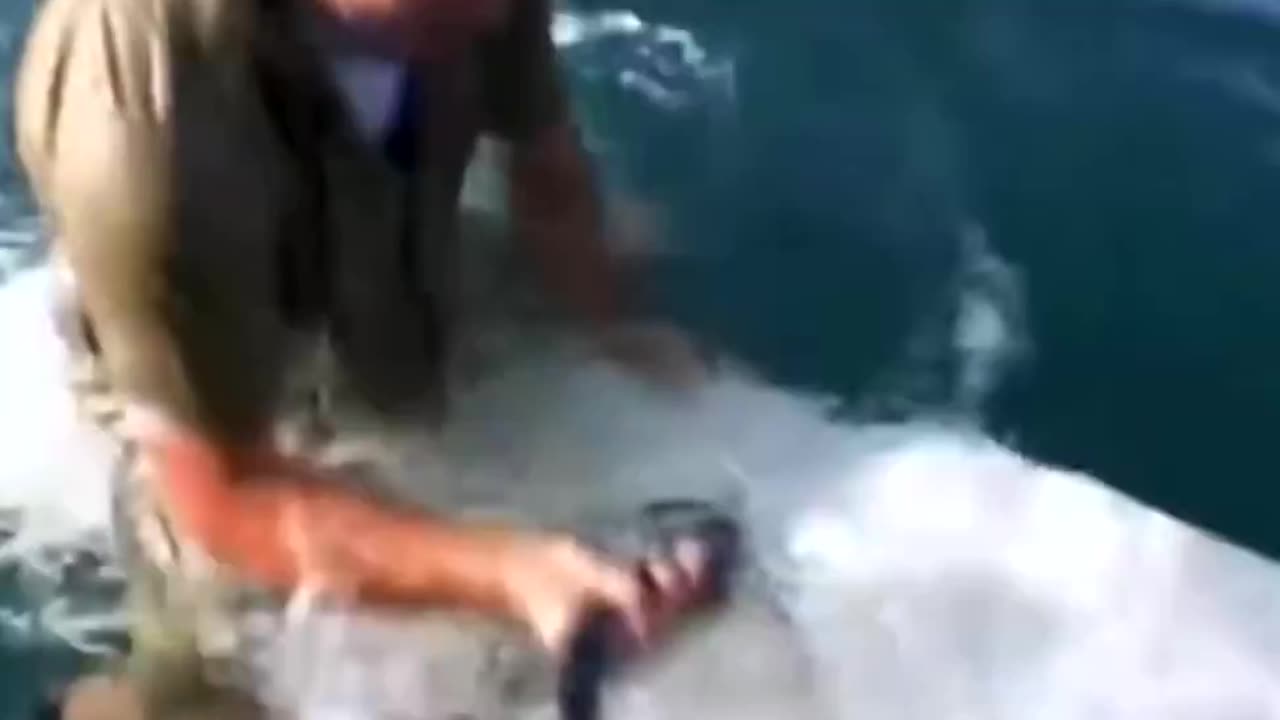 Steve Irwin catches a venomous snake while surfing in Bali