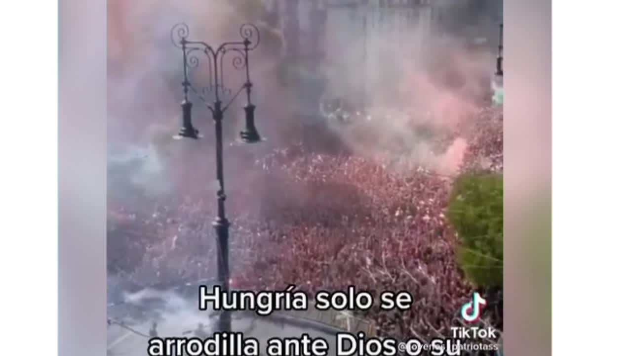 Hungarian Vaccine Protest - You know scenes like this scare this scare the shit out of the elites