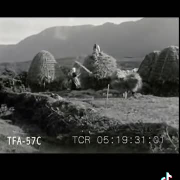 What Do We Need The System For?