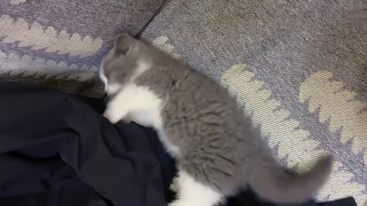 So cute
