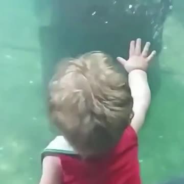 how nice to watch them