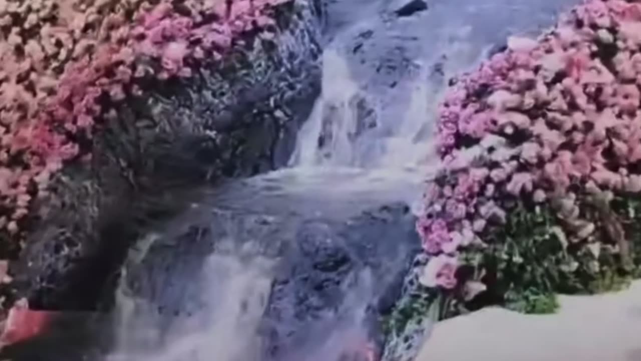 Pinky Wedding Decoration With WaterFall