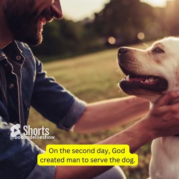 The True Story Of Creation