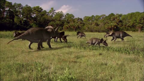 Wow VIDEO OF Dino BABIES!!!