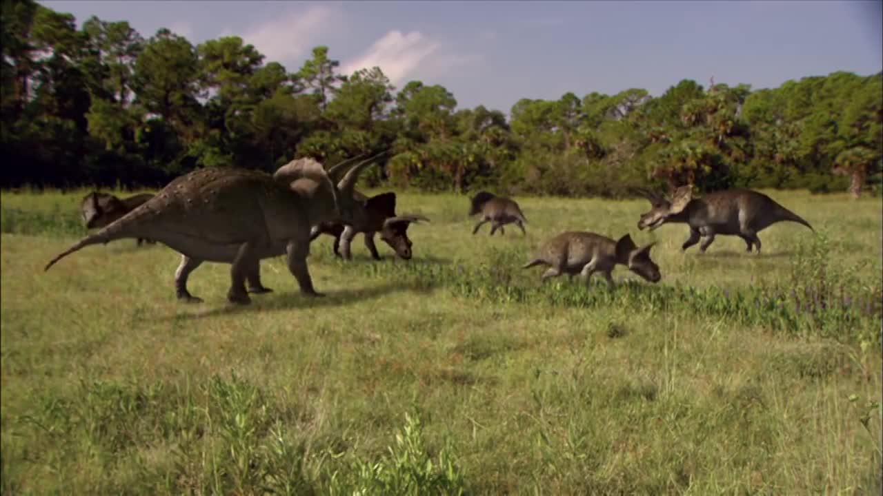Wow VIDEO OF Dino BABIES!!!
