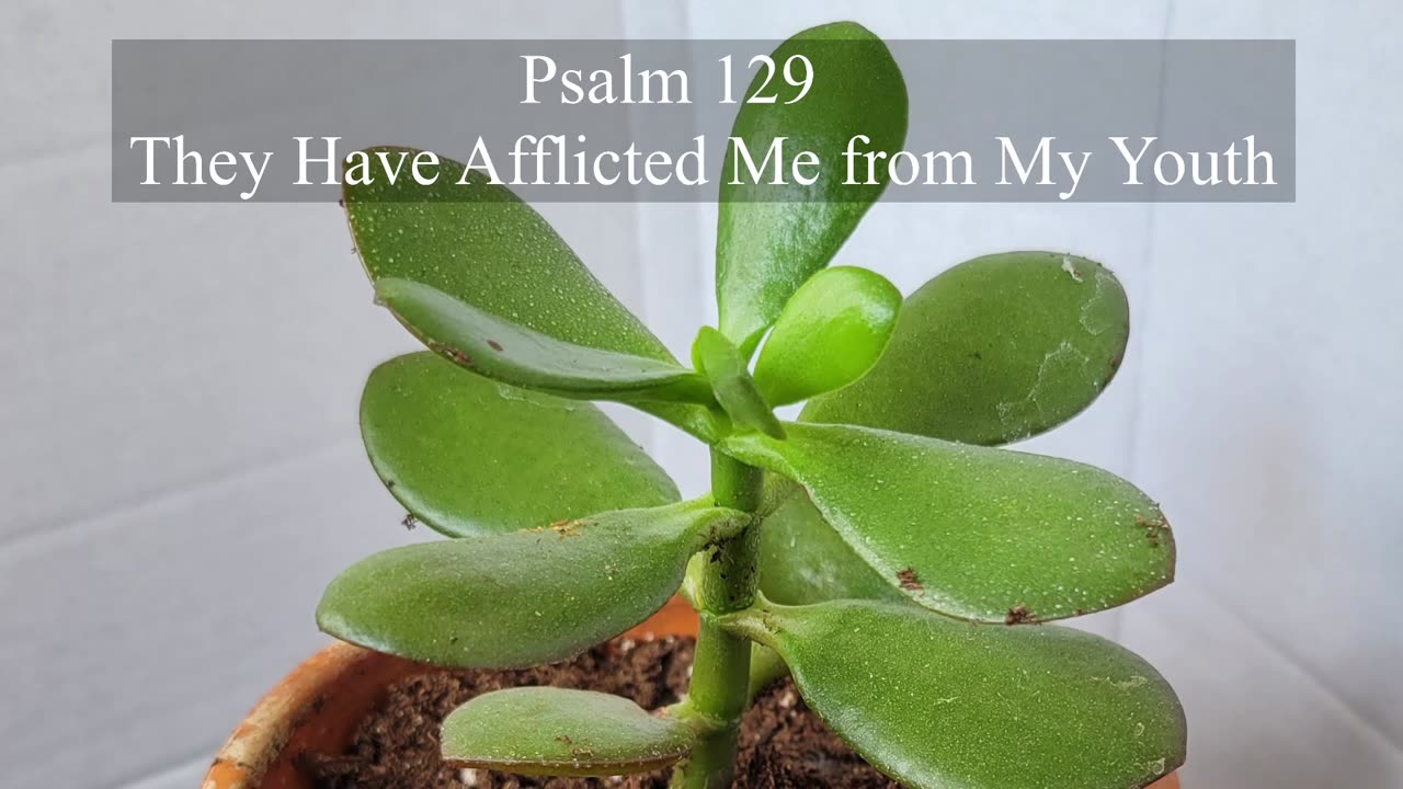 Psalm 129 - ESV Audio