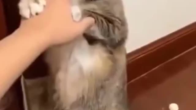 please don't do that 🥺