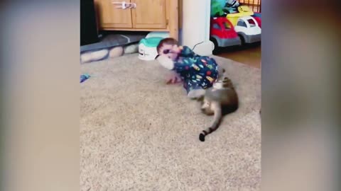 Funny Cats And Babies Playing Together ● Animals Trolling Babies