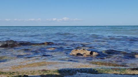 8K video of Mexican Gulf, Corpus Christi, Texas, USA