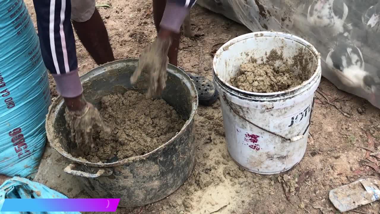 ducks and nature,ការចញ្ចឹមទាកាប៉ា