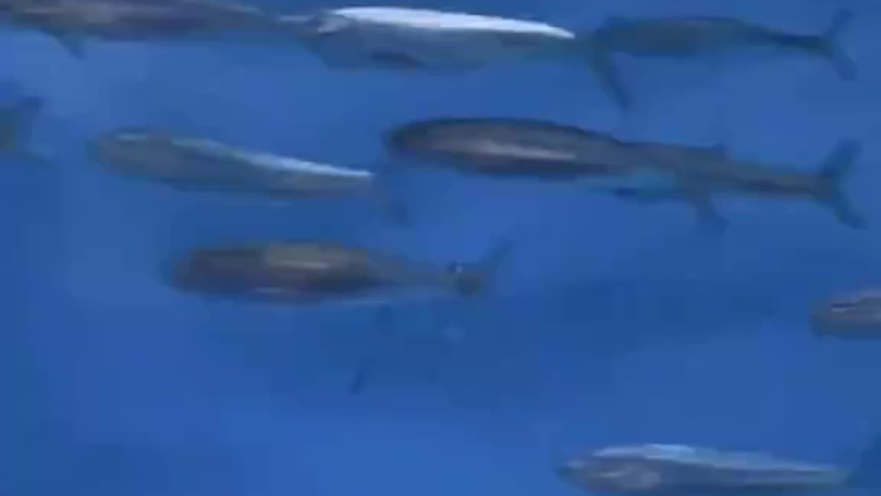 What if everyone else is wrong…