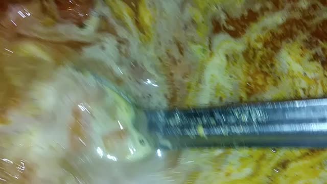 Southern gumbo