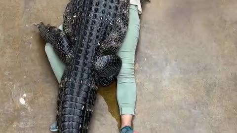 The largest animal in the world. You've never seen it