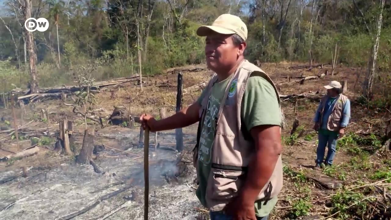 How fires are destroying Bolivias forests DW Documentary_720p