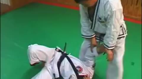 Hapkido