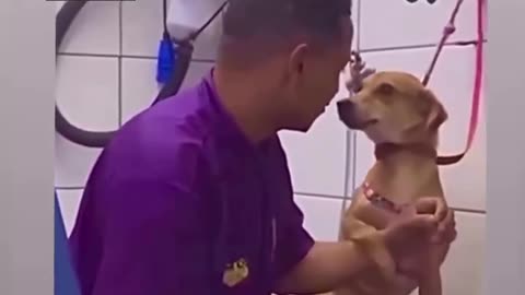 Sassy dog