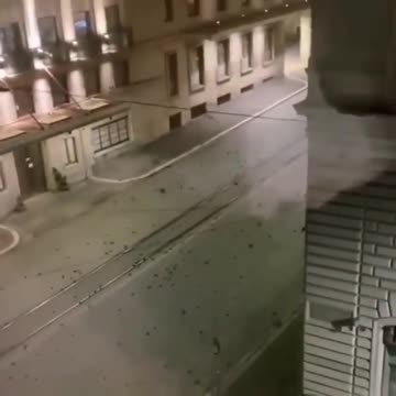 The mysterious death of birds in Italy