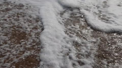 Beach and see