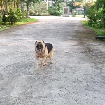 Julia runs around in the morning