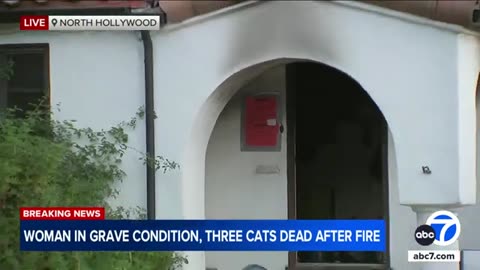 2 people hospitalized, 3 cats dead after fire rips through North Hollywood home