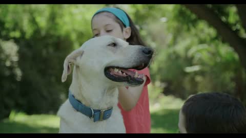 Girl and her brother petting their big white dog