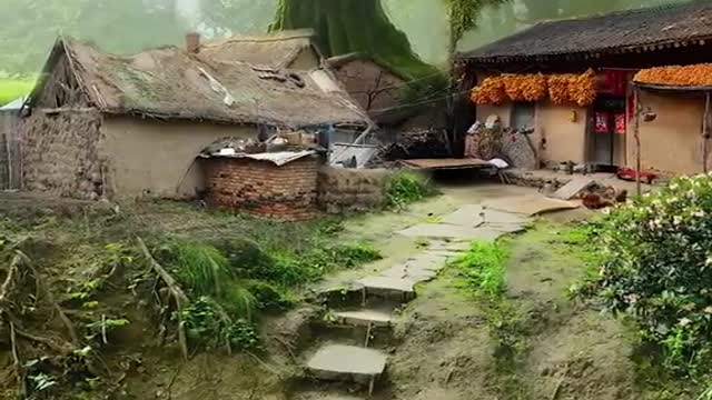 Amezing Village House