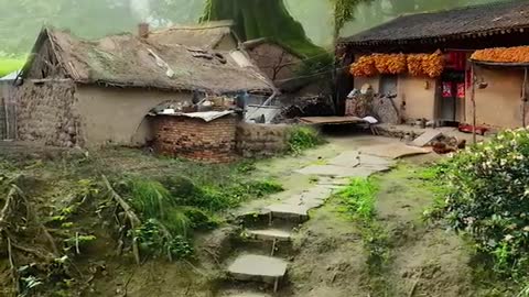 Amezing Village House