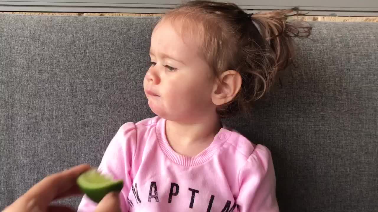 Dog And A Baby Have Similar Reaction To Tasting A Lime