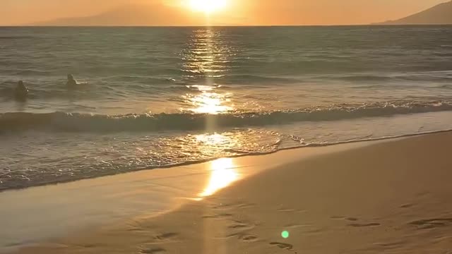 Just another Maui Sunset ๐
๐๐งก