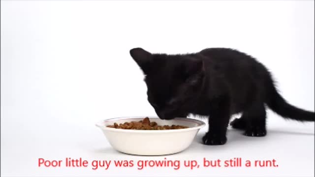 My how they grow so fast