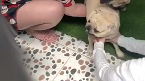 Helpme cu