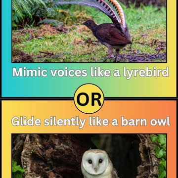 Would You Rather: Birds Edition 🦅 | Fun Animal Quiz
