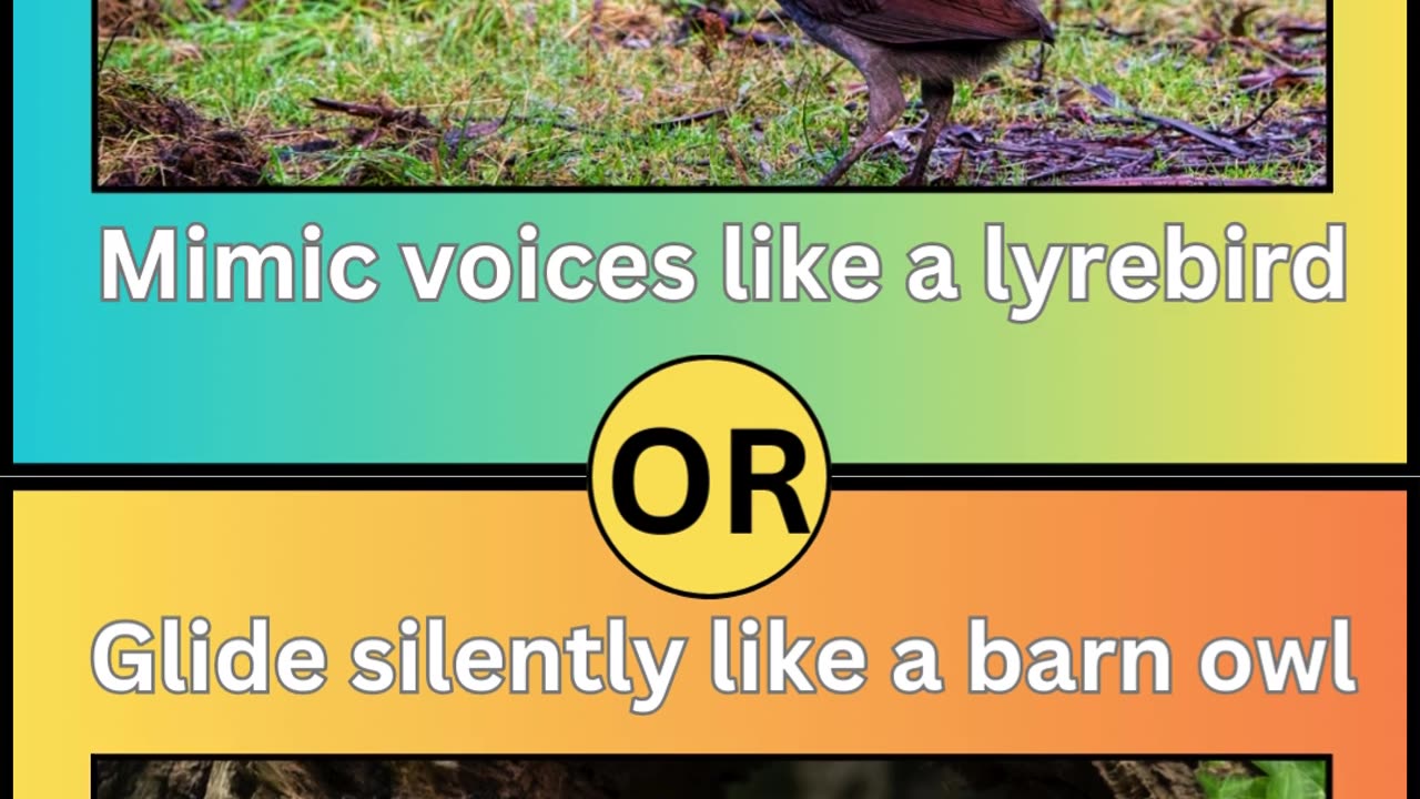 Would You Rather: Birds Edition 🦅 | Fun Animal Quiz