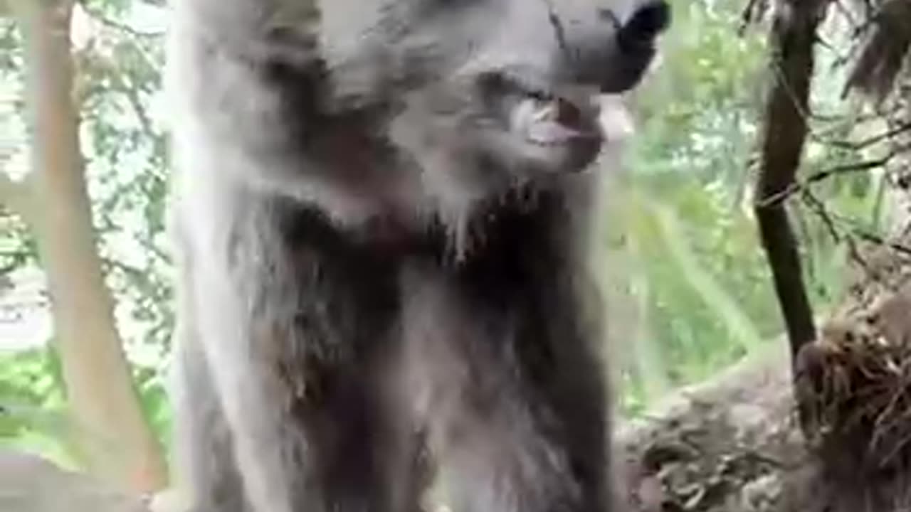 The things bloggers do for clicks 😱